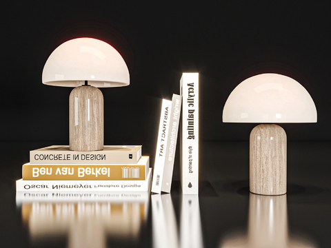 Modern ornaments book lamp