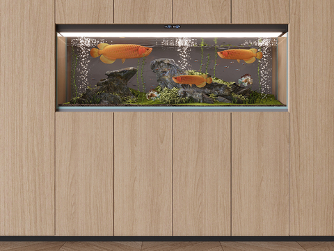 Fish tank aquarium