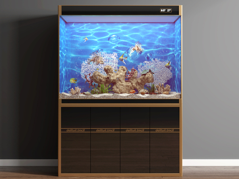 modern aquarium aquarium