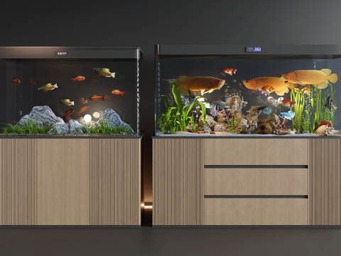 Modern fish tank aquarium