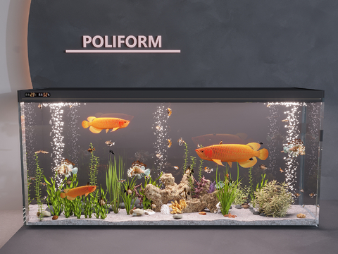 Fish tank aquarium