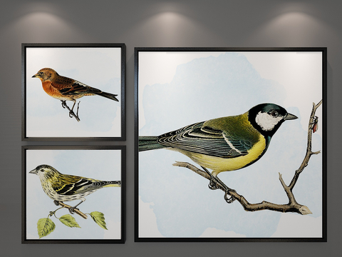 Modern Bird Hanging Painting Art Painting Decorative Painting