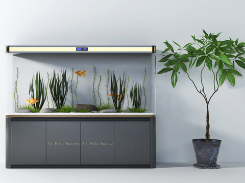 Modern fish tank aquarium