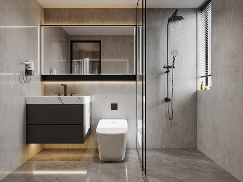 Modern dark toilet bathroom