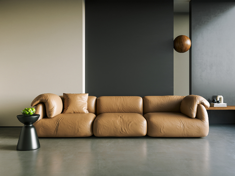 Couch leather sofa