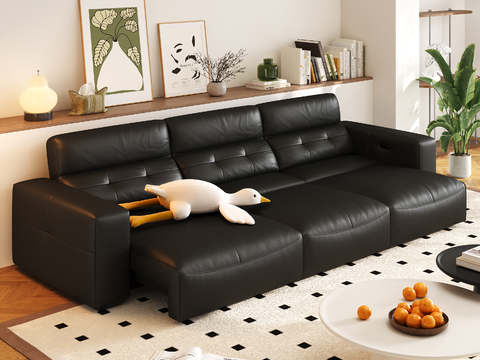 Modern Couch leather sofa