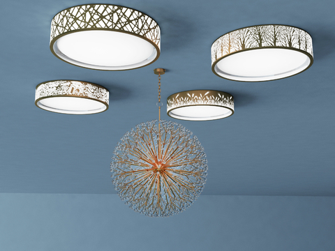 New Chinese ceiling lamp chandelier