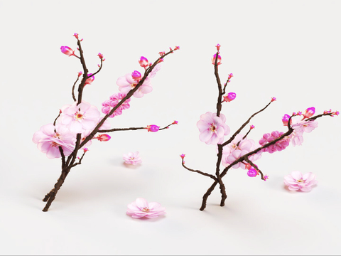 Peach Blossom Branches Flowers Flowers