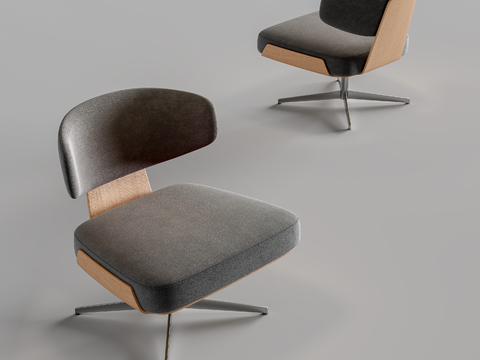 Modern Office Chair Lounge Chair