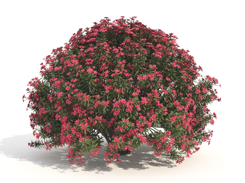 Shrub Shrub Ball