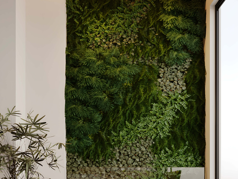 Plant Wall Plant Wall