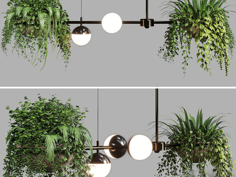 Creative chandelier plant chandelier