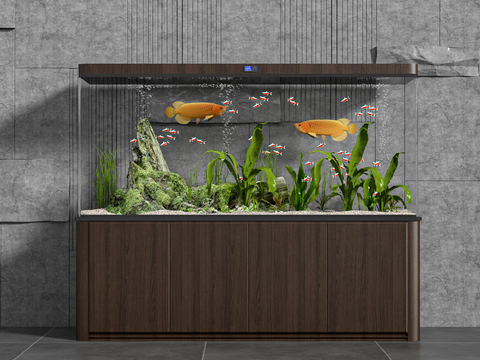 Fish tank aquarium