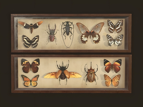 Insect specimen wall ornaments