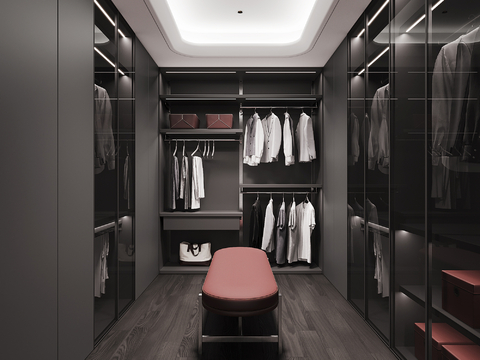 Modern Cloakroom