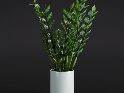 Modern Palm Green Plant Potted Plant Indoor Green Plant