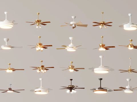 Affordable Luxury Style Ceiling Fan Light Fan Light