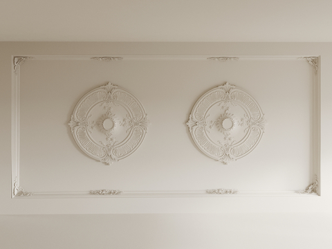 French ceiling with carved ceiling