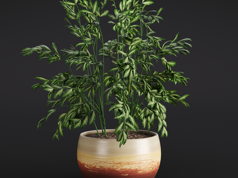 Modern Fern Green Plant Potted Plant Indoor Green Plant