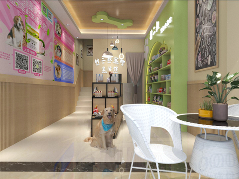 Modern Pet Shop