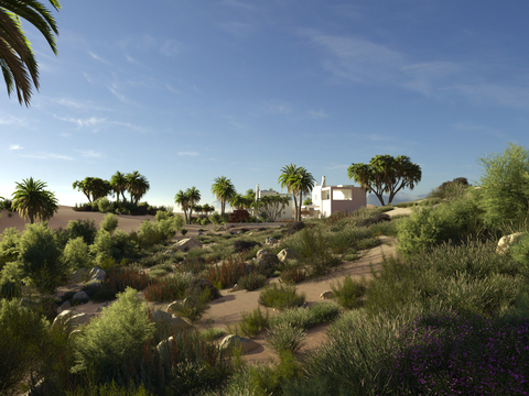 Desert Scene Tropical Plants