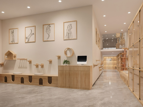 Modern Cat Cafe Pet Shop