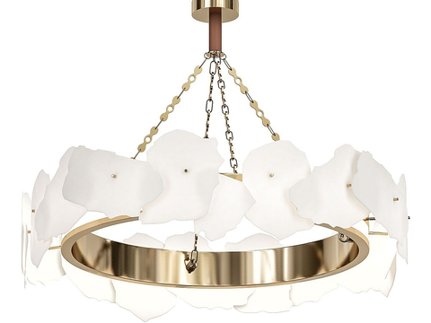 Affordable Luxury Style Hall Chandelier