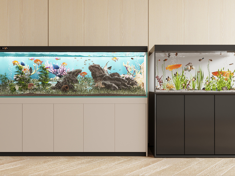 modern aquarium aquarium