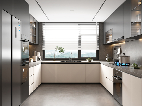 Modern Kitchen Cabinets