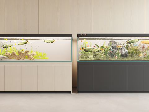 modern aquarium aquarium