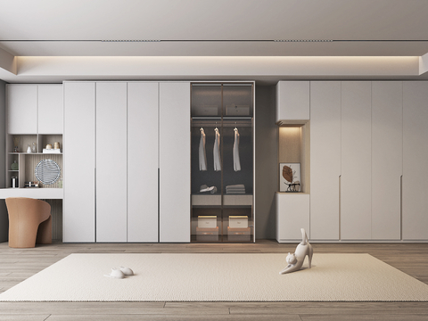 Modern Wardrobe Closet