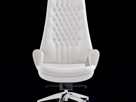 Mascheroni Office Chair Class Front Chair Executive Chair Staff Chair