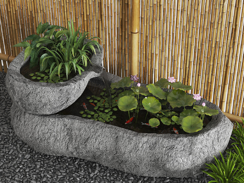 New Chinese Koi Pond Lotus Pond