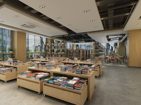 Modern Bookstore Library