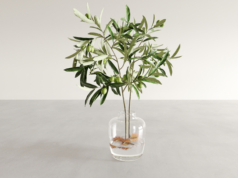 vase floral green plant aquatic plant