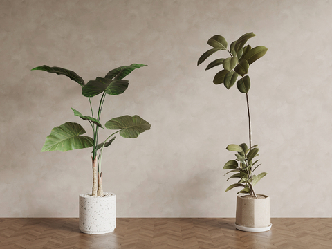 Modern Floor-Standing Bonsai Bonsai Green Plant