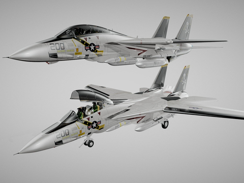 Combat aircraft