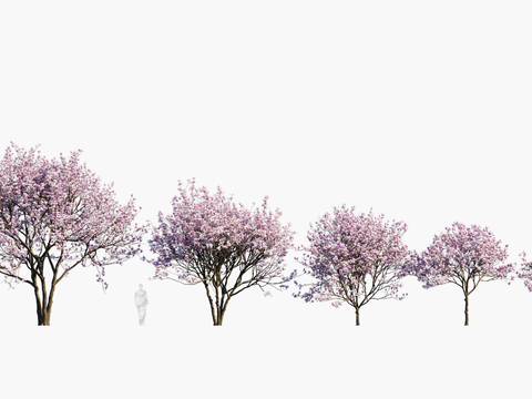 Trees Flower Trees Landscape Trees