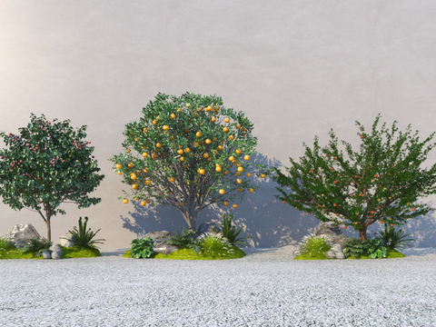 Garden Tree Fruit Tree Landscape Tree Trees