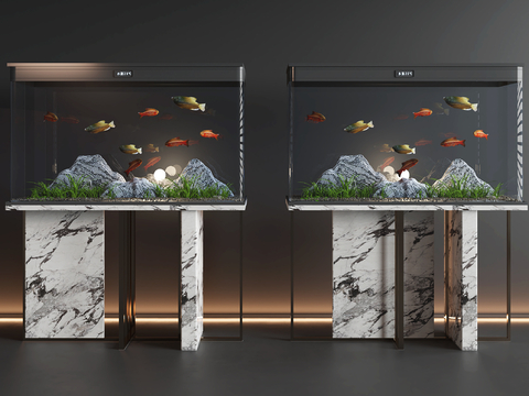 Modern fish tank aquarium