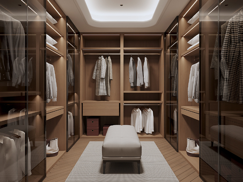 Modern Cloakroom