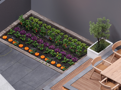 Modern Villa Garden Landscape Vegetable Garden