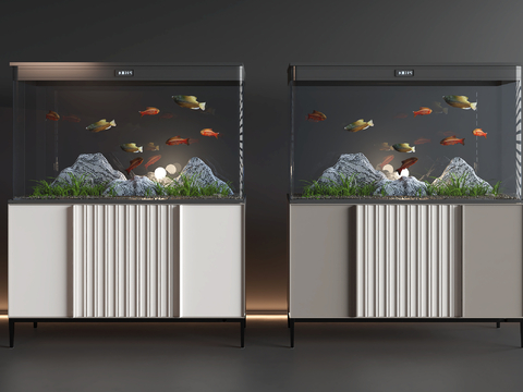 Modern fish tank aquarium