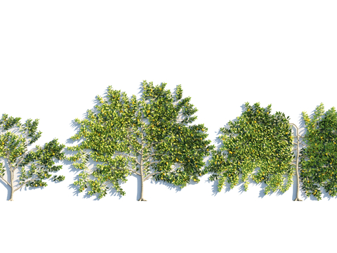 plant tree modeling tree landscape tree