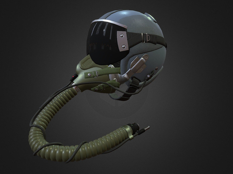 Pilot's Helmet