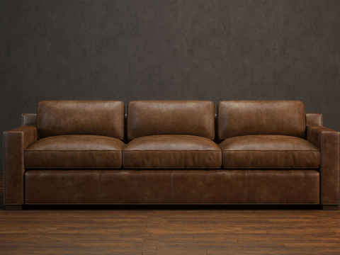 Jane Europe leather sofa Couch