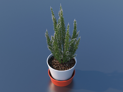 flowerpot potted plant green plant