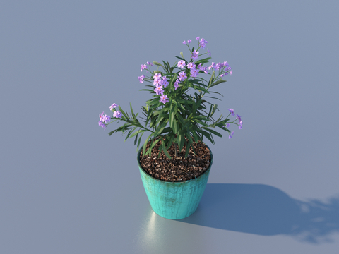 flowerpot potted plant green plant