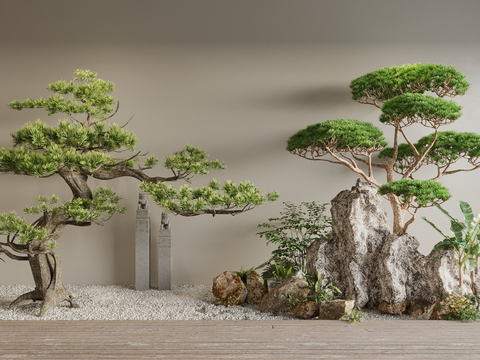 landscape tree pine tree landscape modeling five-needle pine plant bonsai