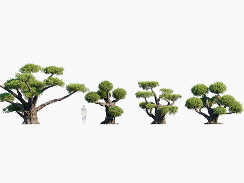 plant tree modeling tree landscape tree pine tree